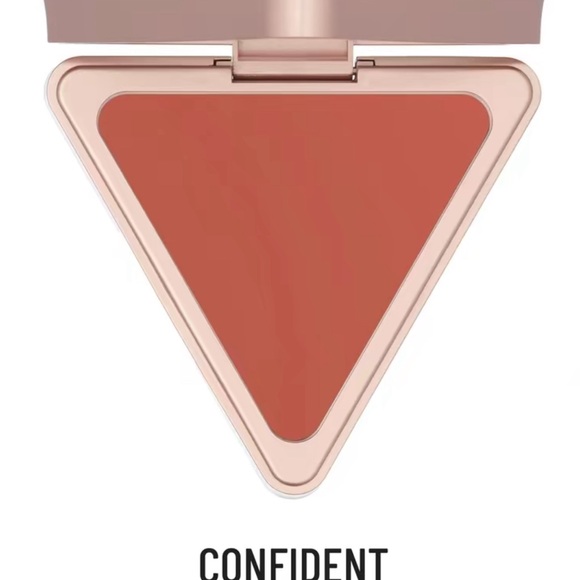NWT‼️ LYS Higher Standard Satin Matte Cream BlushConfident - pink cinnamon spice - Picture 4 of 6